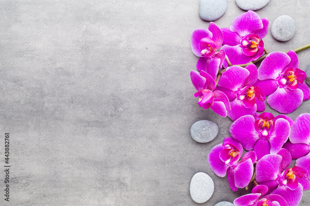 Beauty orchid on a gray background. Spa scene. Beauty orchid on a gray background. Spa scene.