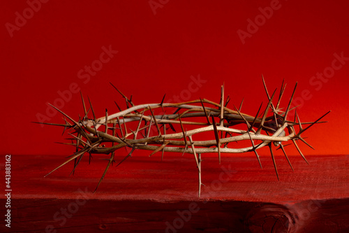 crown thorn thorny red blood background close up