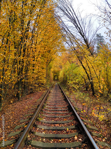 Railway in autumn. Tunnel of love. Klevan, Ukraine