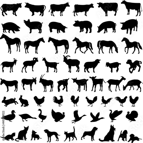 Big collection of farm animals - vector