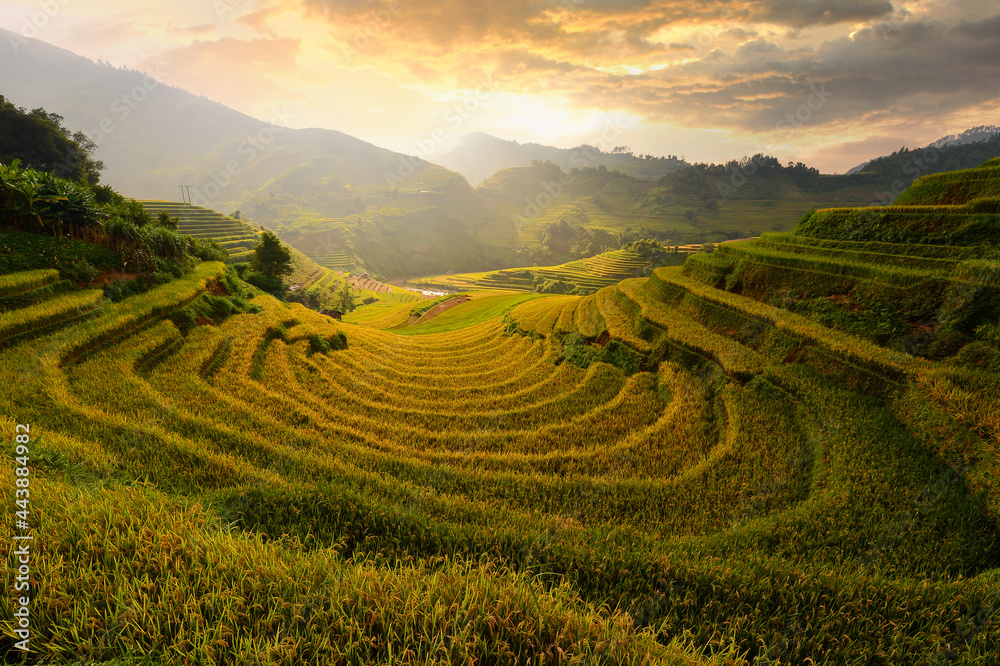 Green Rice fields on terraced in Mu cang chai, Vietnam Rice field