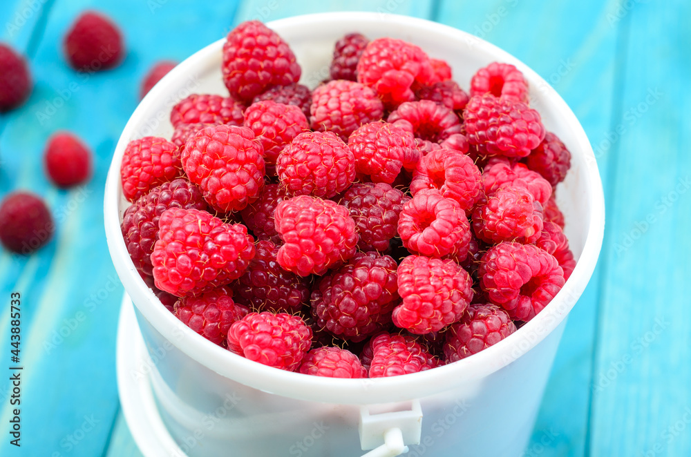 Raspberry bucket on white woodne boards Raspberry bucket on white woodne boards