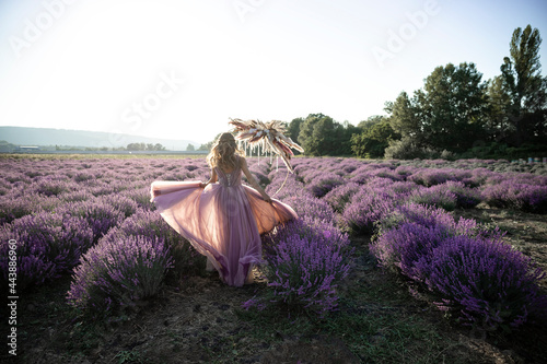 Back view of a beautiful girl walking in a lavender field on a sunny day. Wedding and travel concept.