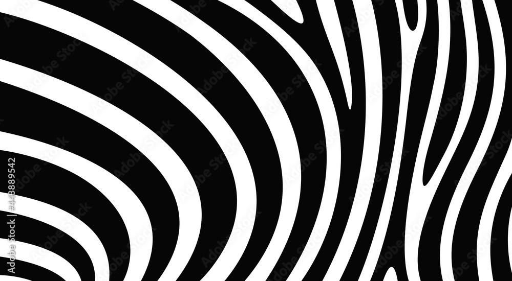 Fototapeta premium Zebra texture logo. Isolated zebra texture on white background