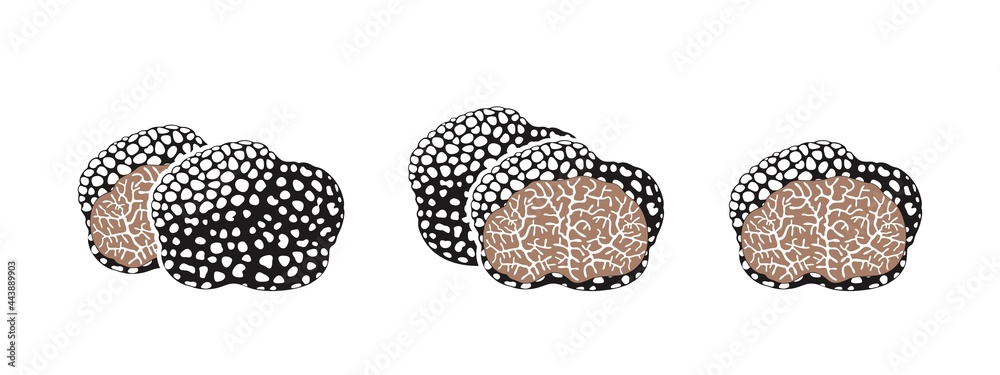 Truffle logo. Isolated truffle on white background - obrazy, fototapety, plakaty 