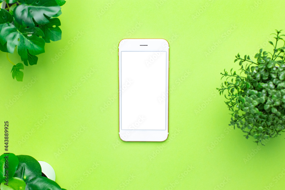 Smartphone mobile phone with white screen and green plant on green ...