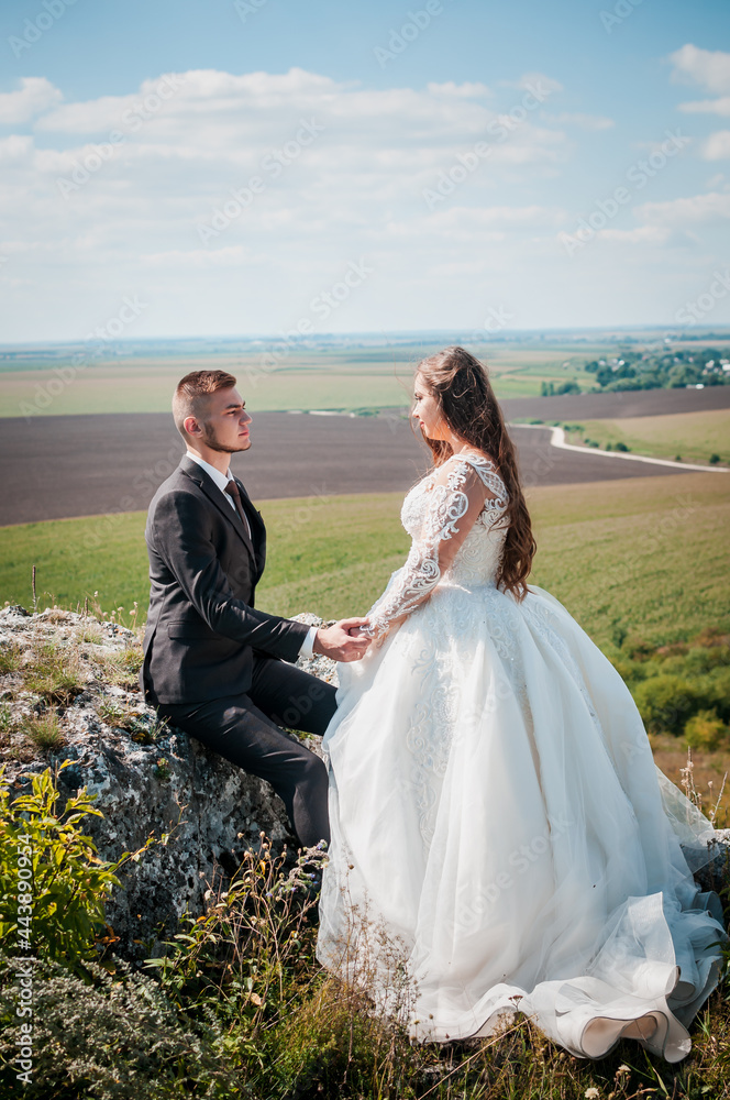 Newlyweds hug on the background of rocks and a beautiful landscape