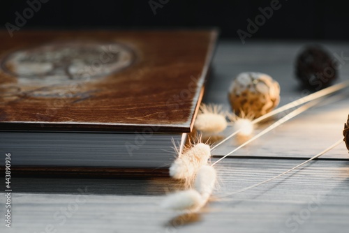 Luxury wooden photo book on natural background. Family memories photobook. Save your summer vacation memories. Photo album wedding photoalbum with wooden cover.