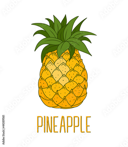 Cartoon juicy yellow whole Pineapple on white background. Summer tropical exotic Fruit. Natural vegetarian healthy sweet food. Cute vector element isolated for print design, poster, card, invitation