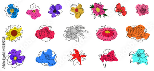 Verschiedene Zeichnungen von Blumen Flowers Handgezeichnet Konturen Vektor Grafik
