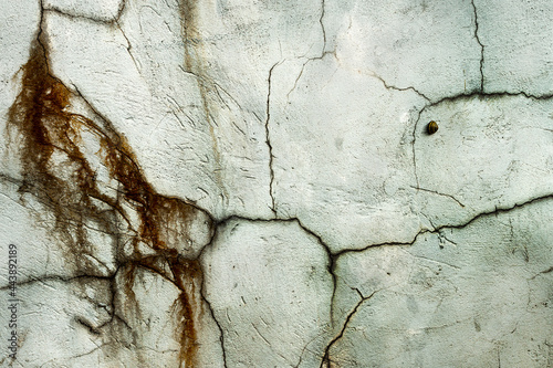 Ślimak wspina się na pionową ścianę starej ściany Krajobraz tła tekstury