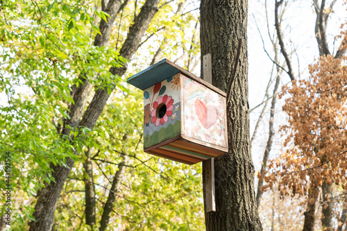 Photography Painted birdhouse hanging on tree trunk in autumn forest, copy space