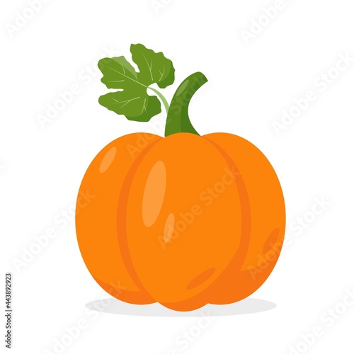 Orange pumpkin with green leef Vector icon