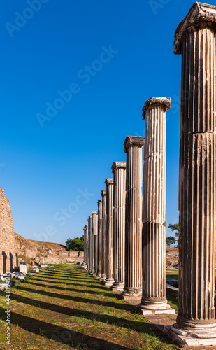 View of the columns in the city of Asklepion in a vertical frame.