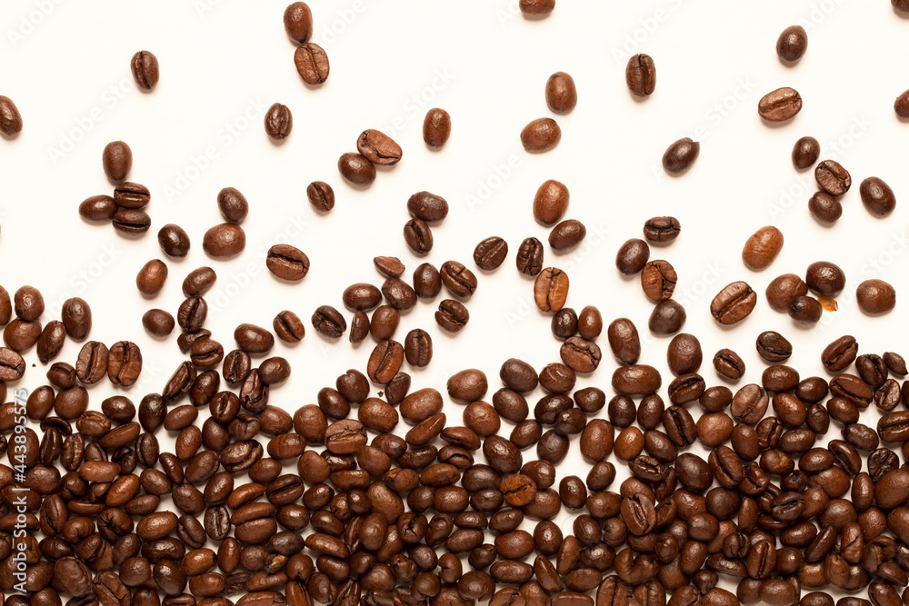 A grain of black coffee. A grain of black coffee.
