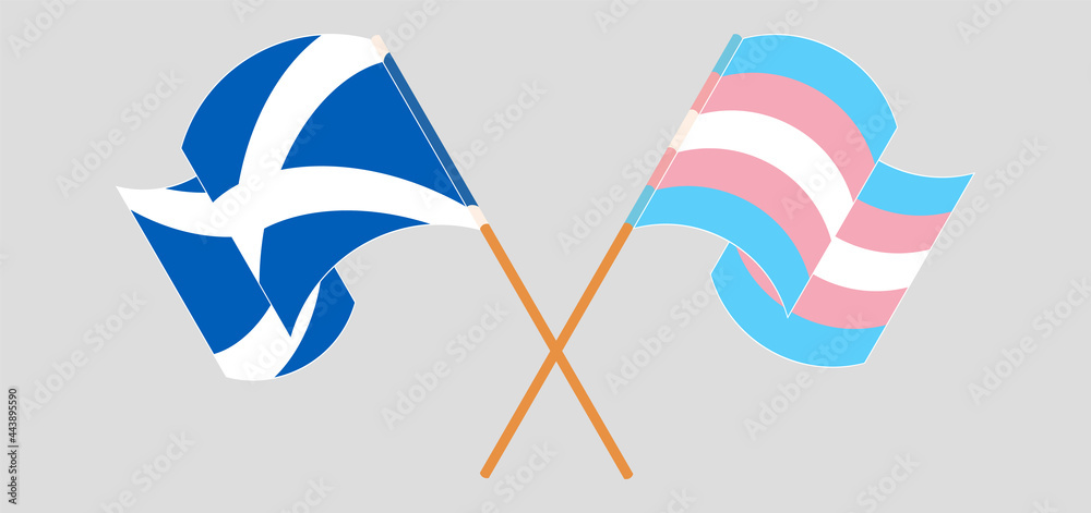 Crossed and waving flags of Scotland and Transgender Pride Crossed and waving flags of Scotland and Transgender Pride