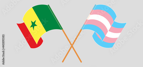 Crossed and waving flags of Senegal and Transgender Pride