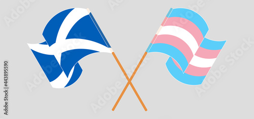 Crossed and waving flags of Scotland and Transgender Pride