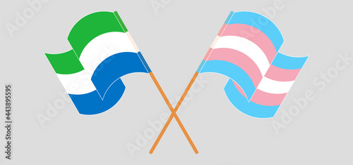 Crossed and waving flags of Sierra Leone and Transgender Pride
