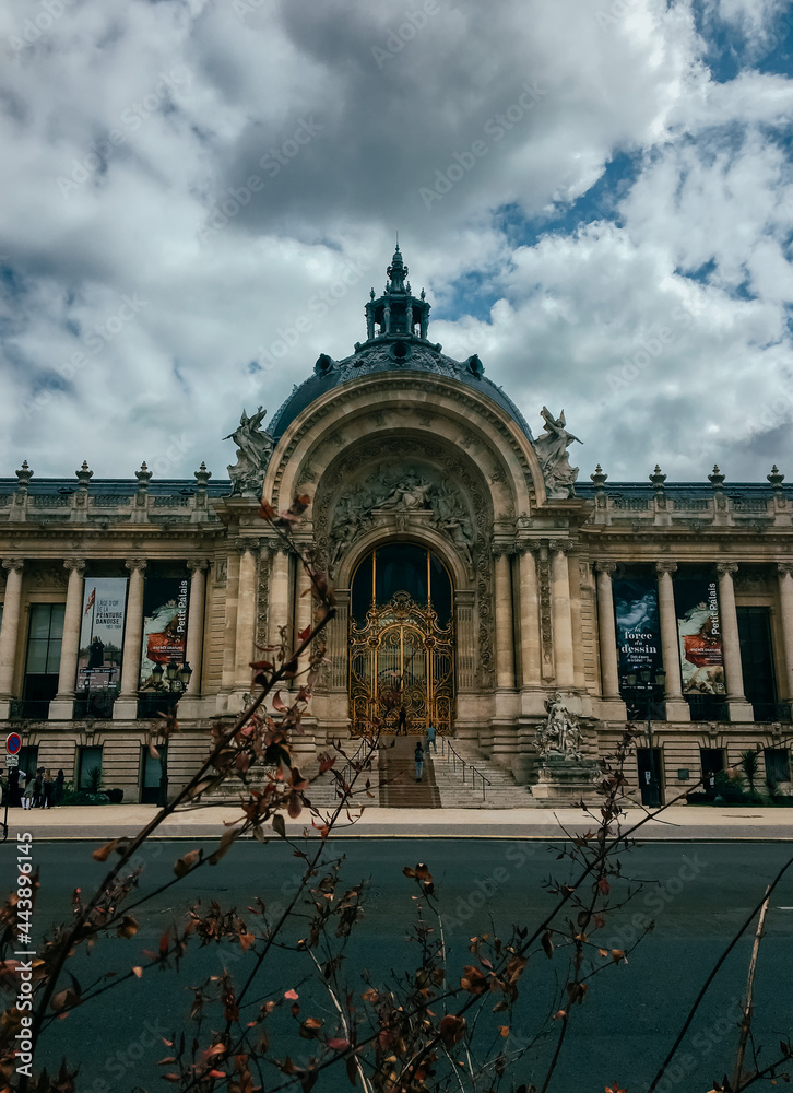 Fototapeta premium Facade of The Petit Palais, Paris, France with a cloudy sky and branches in the foreground