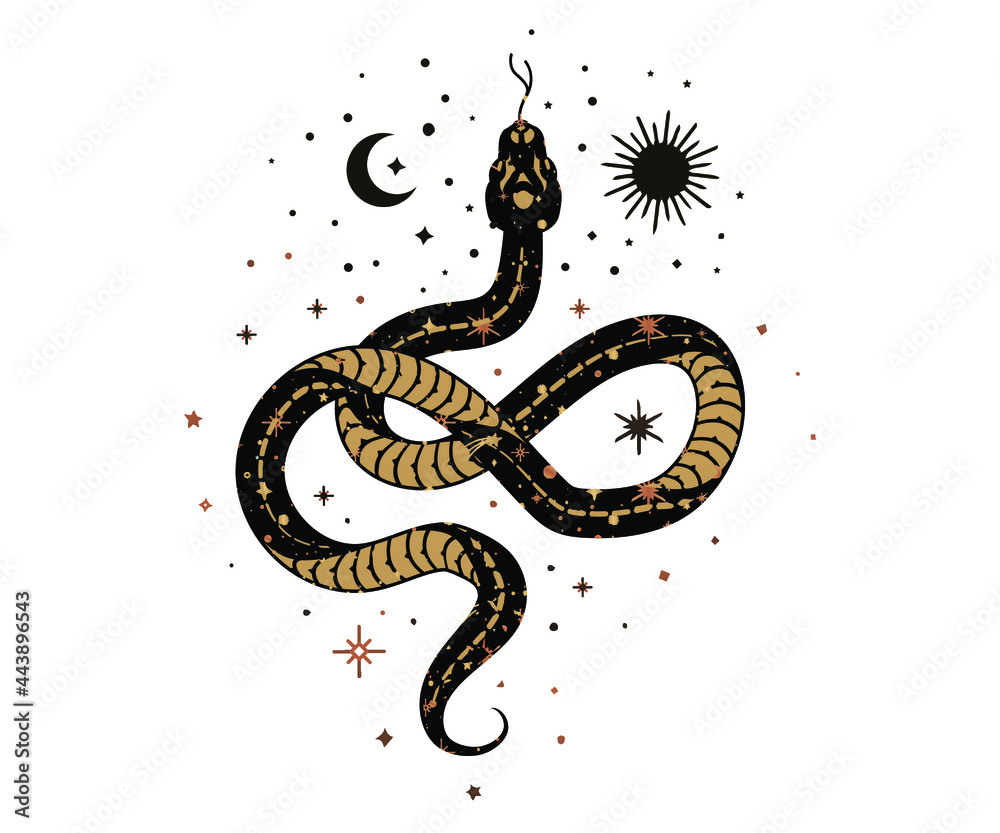 cosmic magic Snake. Snake and wildflowers. Halloween and boho Floral design. Botanical elements. Rustic decorative plants. Black silhouette snake. Minimal snakes for logo, tattoo cosmic magic Snake. Snake and wildflowers. Halloween and boho Floral design. Botanical elements. Rustic decorative plants. Black silhouette snake. Minimal snakes for logo, tattoo