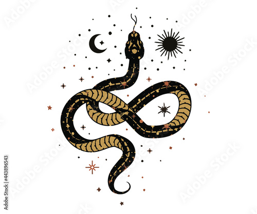 cosmic magic Snake. Snake and wildflowers. Halloween and boho Floral design. Botanical elements. Rustic decorative plants. Black silhouette snake. Minimal snakes for logo, tattoo