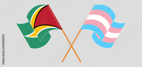 Crossed and waving flags of Guyana and Transgender Pride