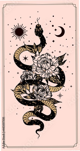 tarot cards esoteric mystical magic celestial talisman with snake, sun, stars sacred geometry isolated. Spiritual occultism object. Vector illustrations outline style photo