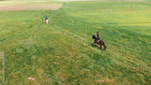 Aerial shot of two horse riders on a light brown and a dark bay horse moving across the farm field. Riders on horseback galloping in the field. Beautiful farm field meadows during the daytime. 