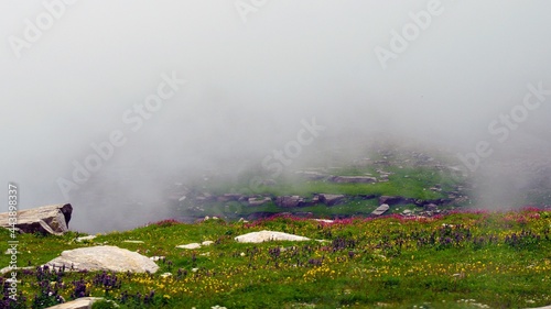 morning fog in the hill with flowers