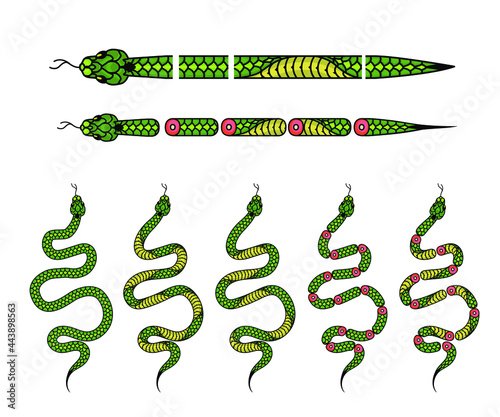 a set of elements for creating a design with a snake, Snakes in different interesting poses. elements for creating a curly brush pattern for illustrator