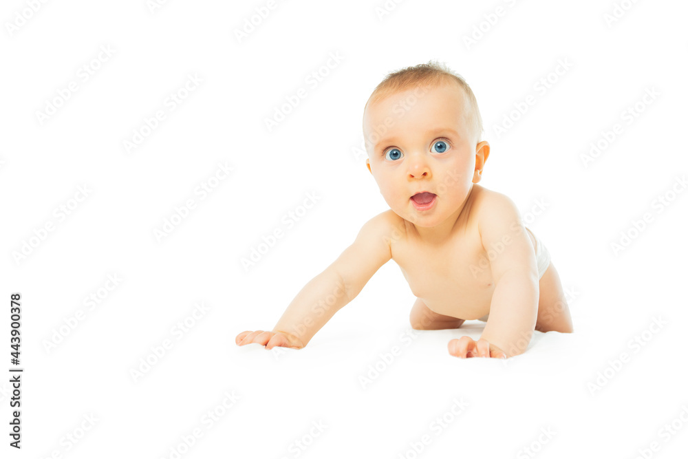 Baby girl in diaper isolated on white crawling Baby girl in diaper isolated on white crawling