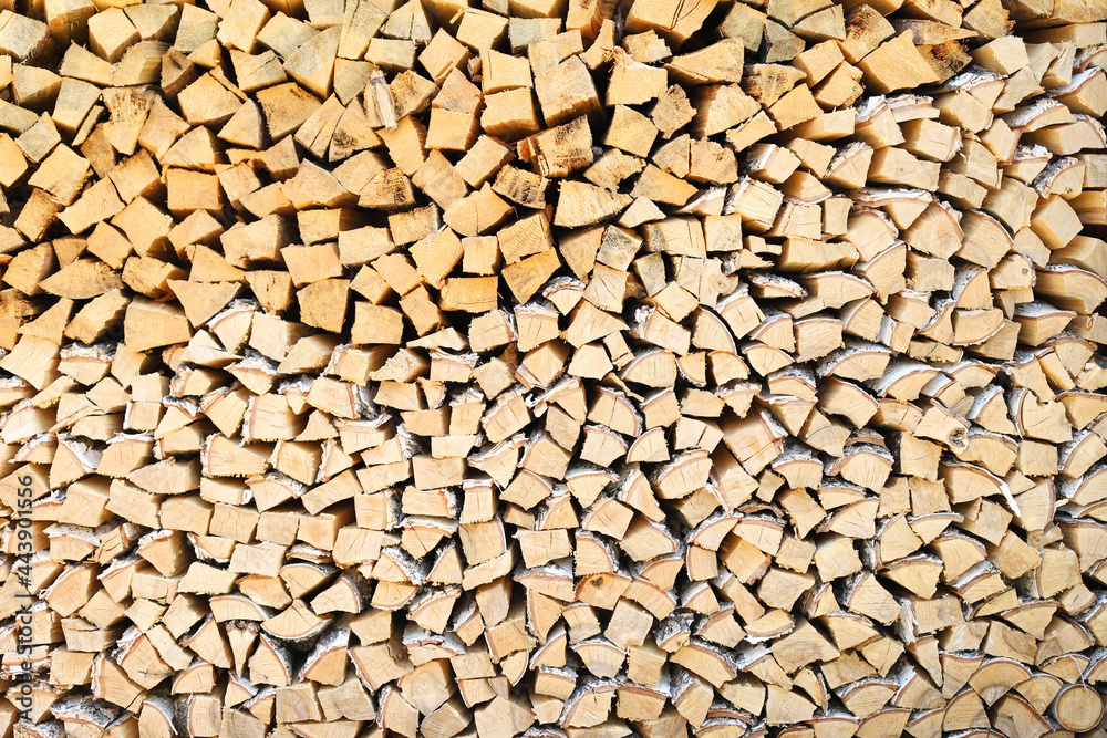 A lot of firewood stacked evenly, texture. Dry birch and pine for furnace. Logs background. Wooden birch logs, bonfire. Closeup, front view. A lot of firewood stacked evenly, texture. Dry birch and pine for furnace. Logs background. Wooden birch logs, bonfire. Closeup, front view.