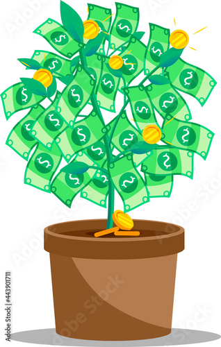 Little cash tree
