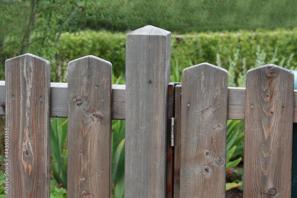 Gray wooden fence close up in the park