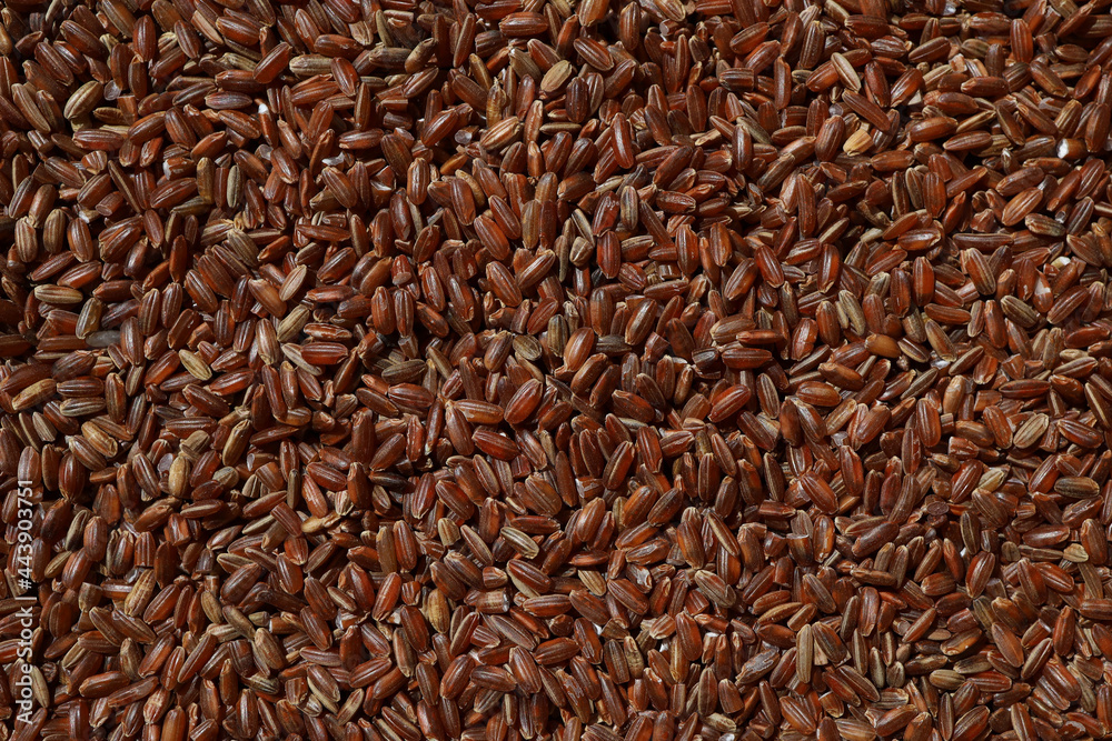 Raw red unpolished rice as background. Rubin grains closeup. Bhutanese. Uncooked organic brown rice for traditional Asian cuisine. Popular agriculture cereal. Food texture. Healthy eating and dietary Raw red unpolished rice as background. Rubin grains closeup. Bhutanese. Uncooked organic brown rice for traditional Asian cuisine. Popular agriculture cereal. Food texture. Healthy eating and dietary