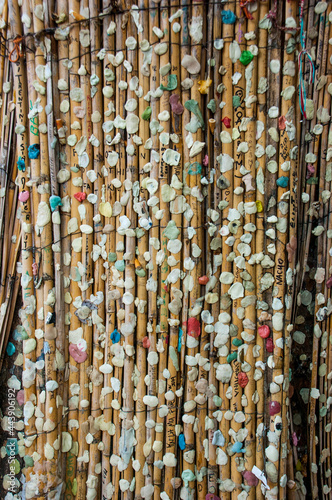 tree covered with mat and lots of gum stuck close to Jim Morrison's grave. vertical picture photo