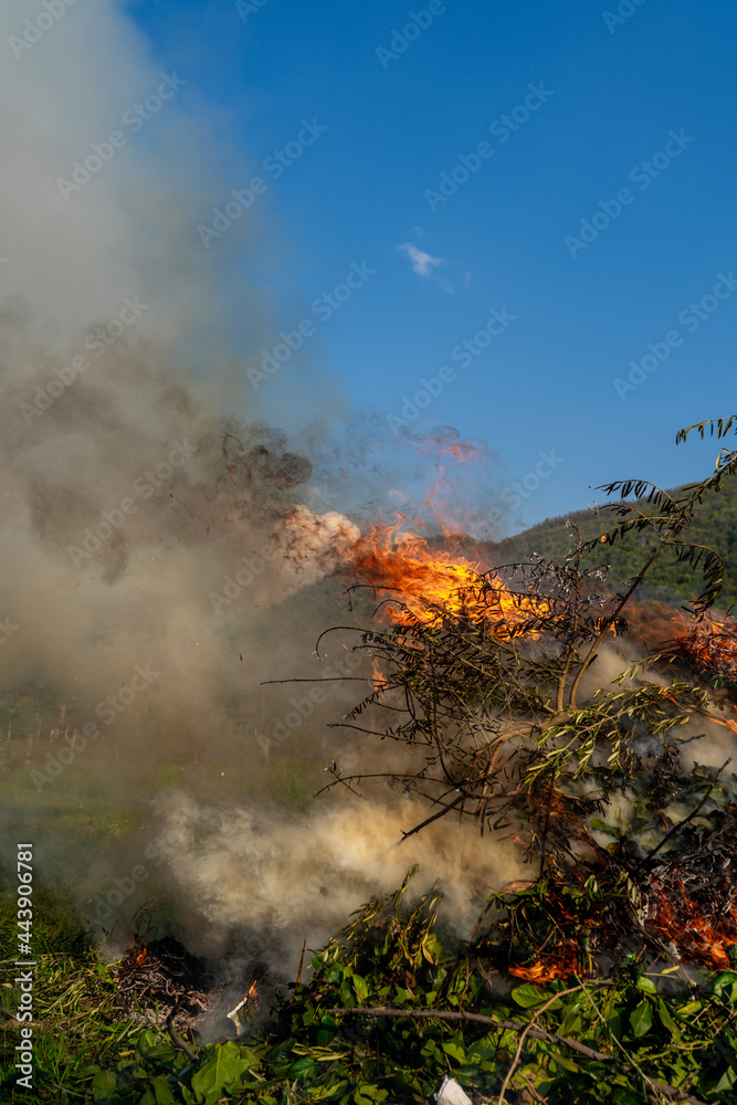 Fiery flames and smoke rising in air from burning tree branches, leaves and dry cut grass, horror image of burning campfire with orange flames and poisoning smoke