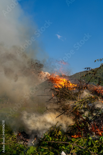 Fiery flames and smoke rising in air from burning tree branches, leaves and dry cut grass, horror image of burning campfire with orange flames and poisoning smoke © Maryana