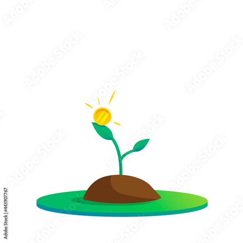 Cash tree. Growth stage 1