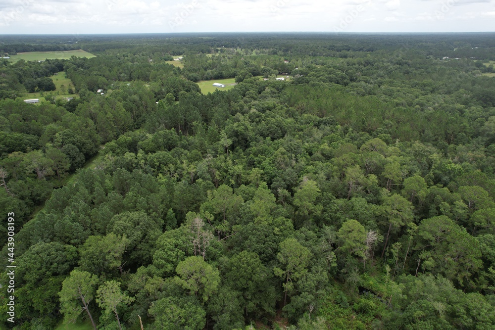 Aerial View of Pond in North Florida 