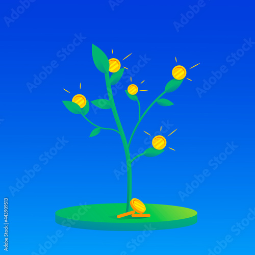 Cash tree. Growth stage 2 with a background