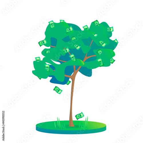 Cash tree. Growth stage 3