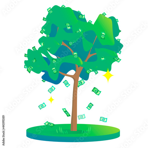 Cash tree. Growth stage 4 