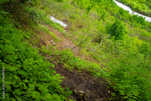 雨飾山 登山道の風景