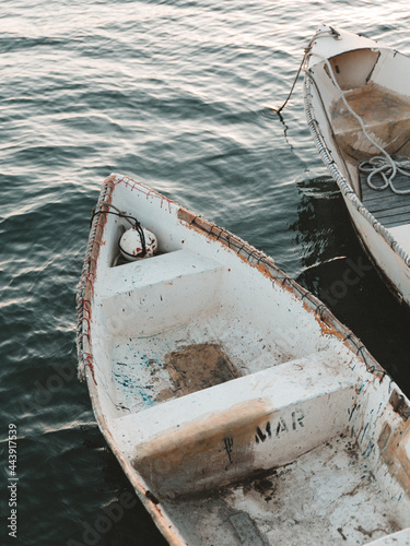 Rustic Row Boat photo