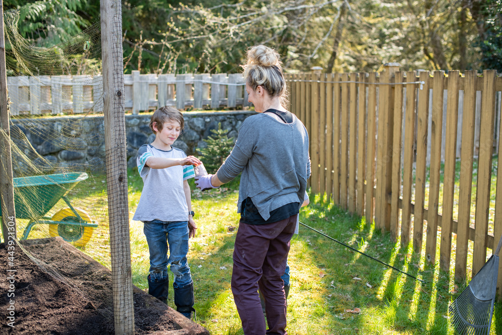 Young boy helps plant seeds in a garden in his back yard while his mom watches.