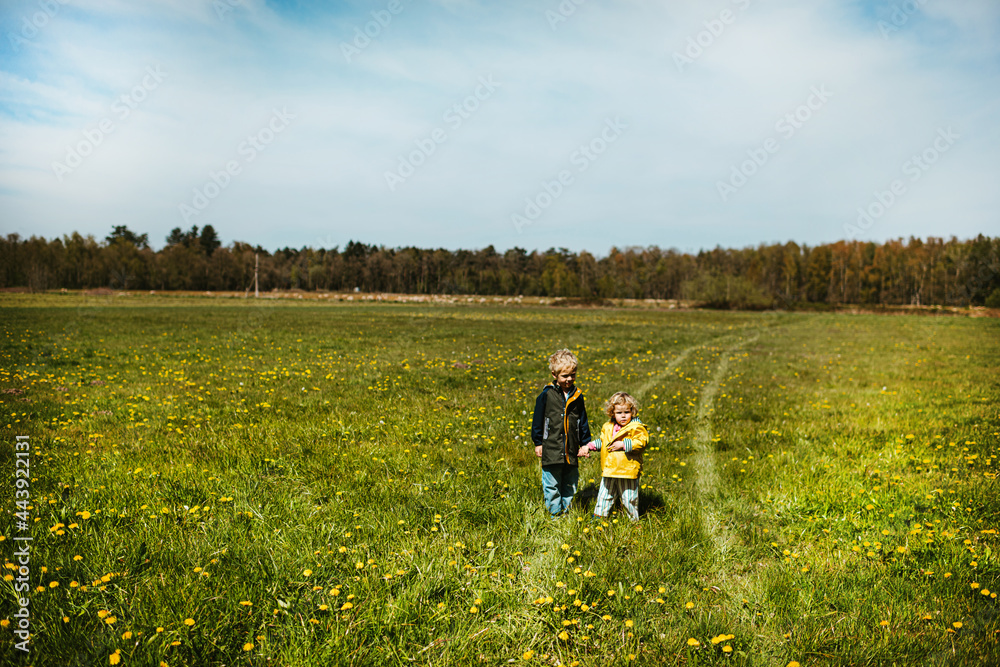 Brother and sister standing in a field with yellow flowers Brother and sister standing in a field with yellow flowers