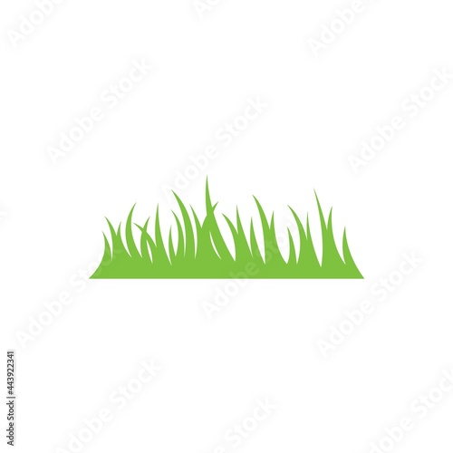 Green Grass vector icon illustration