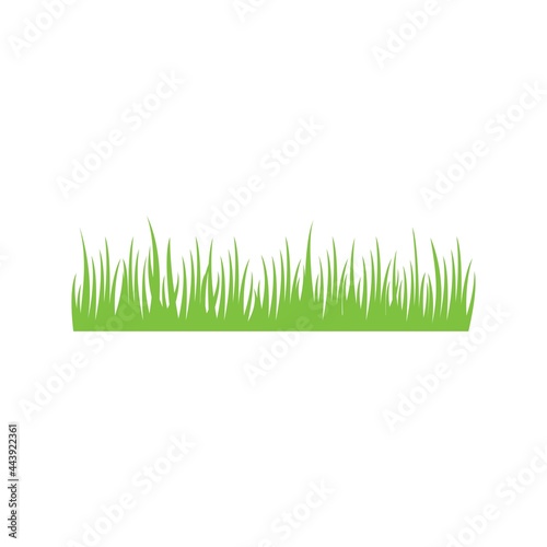 Green Grass vector icon illustration